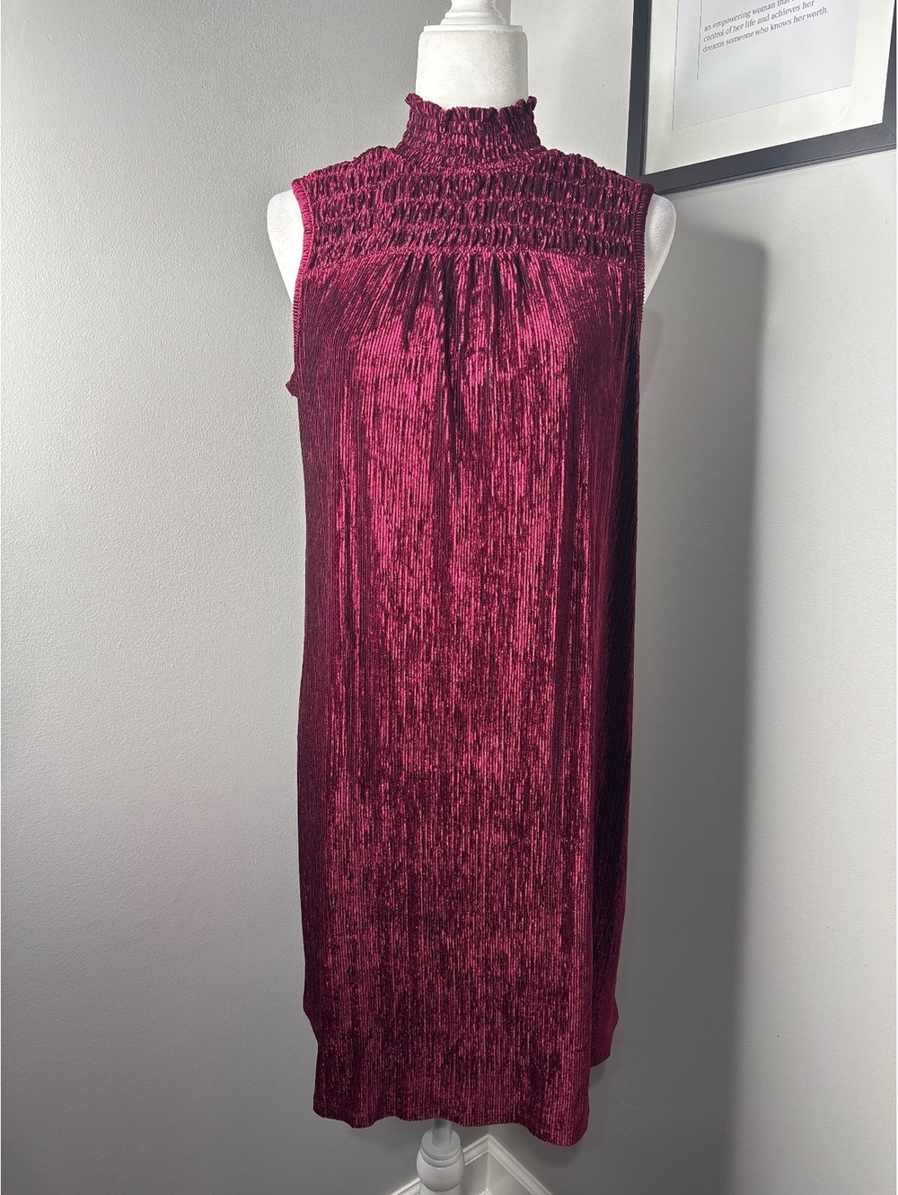 Nina Leonard Sleeveless Burgundy Velvet Dress with Smocked Neck, Size Small